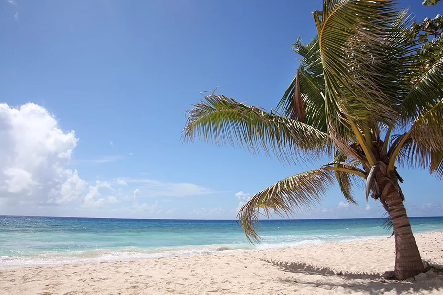 Falmouth-beach