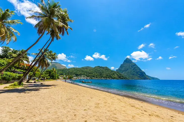 st-lucia-top-attractions-things-to-do-intro-paragraph-beach-piton-palm