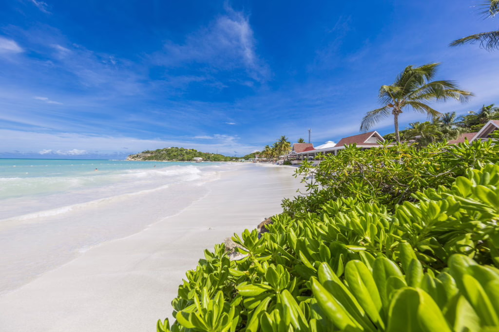pineapple_beach_club_antigua_beach_06-1024x682