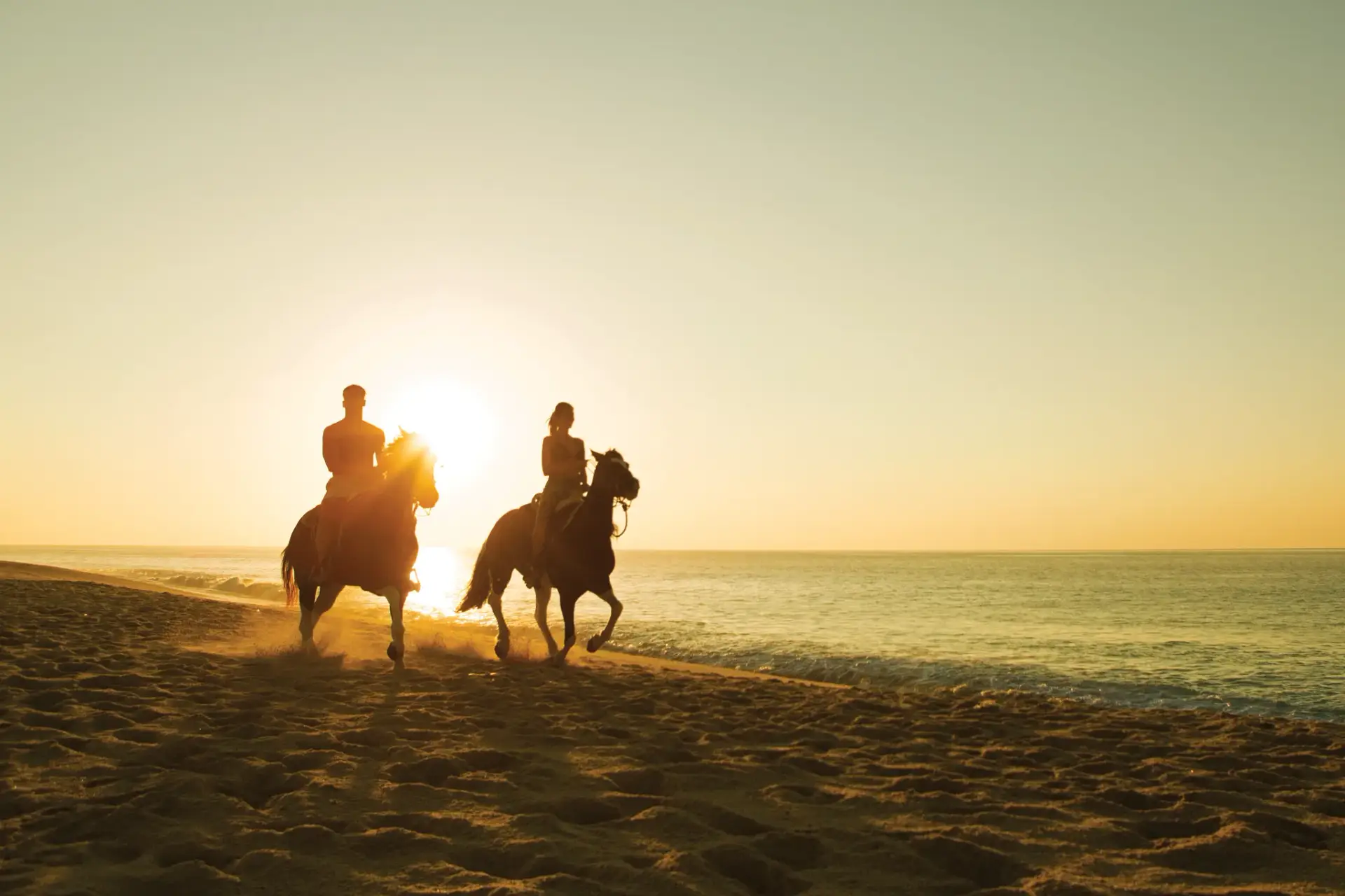 DRELC-EXT-Horsebackriding-Beach1-1-CB