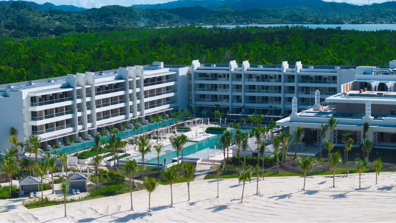 Princess-Senses-the-Mangroves-Overhead-Shot