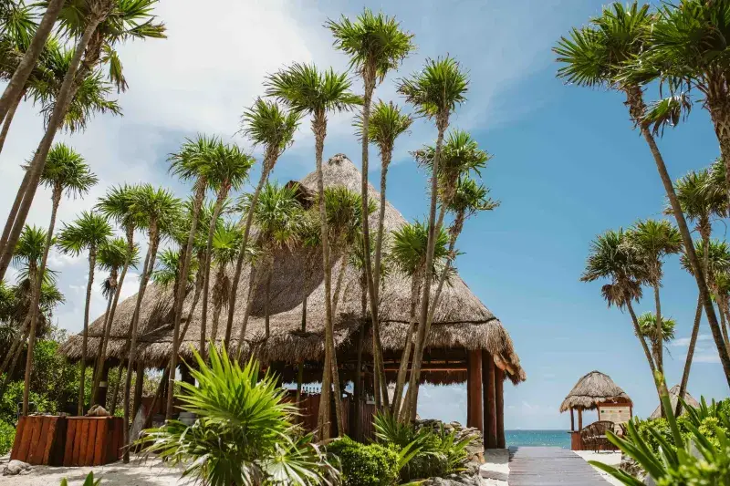 valentinimperialrivieramaya-playa-beachbarsunrise10712-f1e464209a714401cd73564d96ba3ad2